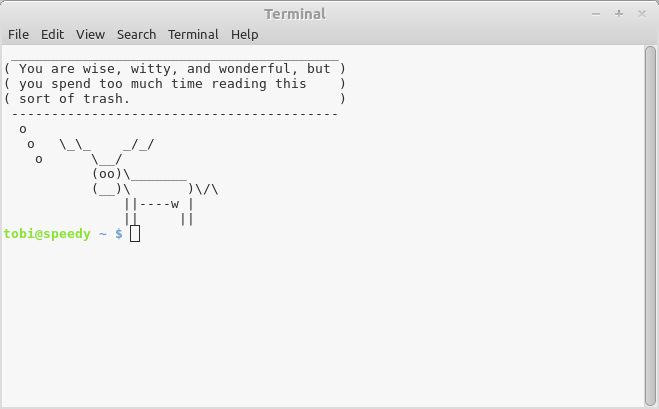 funny terminal